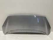 Motorhaube Peugeot 1007 ()