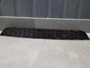 Kühlergrill unten BMW 1er (F40) 8075332