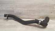 Schlauch Kühlung RENAULT LAGUNA III (BT0/1) 2.0 dCi (BT01, BT09, BT12, BT1S) 215010012N