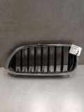 Vorderer oberer Gitter BMW 5 (G30) 530 i 7390865
