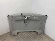 Verkleidung Dachrahmen Ford Transit Connect V408 Kasten () 195057130