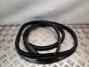 Türgummi links hinten Nissan Juke (F15)