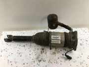 pneumatischer Stoßdämpfer hinten rechts AUDI A8 D3 (4E2, 4E8) 4.2 TDI quattro 4E0616001F