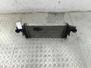 Ladeluftkühler MERCEDES-BENZ M (W164) ML 320 CDI 4-matic (164.122) A2515000000