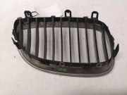Vorderer oberer Gitter BMW 5 Touring (E61) 530 d 51137027061