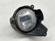 Nebelscheinwerfer vorne rechts CHEVROLET CAPTIVA (C100, C140) 3.2 4WD E132045