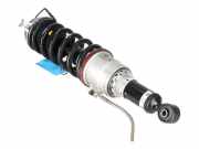 Stoßdämpfer hinten links FERRARI GTC4 Lusso / Lusso T 3.9 T 300214