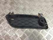 Gitter vorne unten BMW X3 (F25) xDrive 35 i 7249595