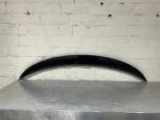 Spoiler hinten BMW X6 (E71, E72)