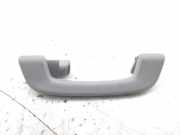 Griff Panoramadach BMW 5er (F10)