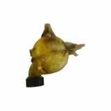 Ausgleichsbehälter PEUGEOT 207 (WA_, WC_) 1.6 HDi 9652621280 716183P12