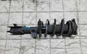 Stoßdämpfersatz Vorderachse Nissan Qashqai (J10) 824903009191