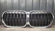 Kühlergrill oben BMW X1 (F48) 8493451
