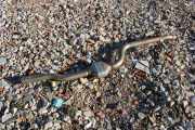 Abgassystem BMW 3 (F30, F80) 320 d 8515027