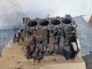 Motorblock RENAULT SCÉNIC II (JM0/1_) 2.0 dCi (JM1K) M9RE
