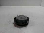 Blende Scheinwerfer rechts Hyundai Trajet (FO)