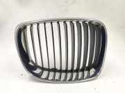 Vorderer oberer Gitter BMW 1 Cabrio (E88) 118 d 7179656A