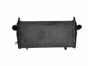 Ladeluftkühler Peugeot 407 Coupe () D1386007