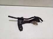 Schlauch Kühlung KIA SOUL II (PS) 1.6 GDI