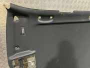 Dachsäule BMW X5 (E70) 205835PA