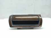 Türaußengriff hinten links JAGUAR XJ (XJ40, XJ81) 6 4.0