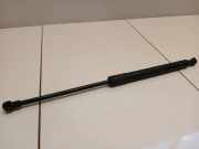 Gasfeder für Motorhaube BMW 3er Touring (E91)