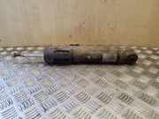 Stoßdämpfer hinten links