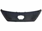Vorderer oberer Gitter TOYOTA AVENSIS Sedan (_T27_) 1.6 (ZRT270_)