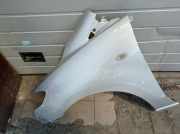 Kotflügel vorne links