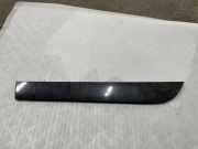 Türverkleidung links hinten Audi A6 (4F, C6)