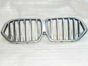 Vorderer oberer Gitter BMW X6(G06) (G06, F96) xDrive 40 i 77481387