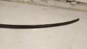 Dachleiste links BMW 3 (G20, G28) 3 (G20) M340 d Mild-Hybrid 7427839