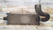 Ladeluftkühler FORD TRANSIT CUSTOM 2.2 TDCi FK8BA CC119L440AF