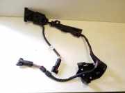 Kabelbaum MERCEDES-BENZ GLC (X253, C253) 250 4-matic (253.946) A2545405806