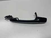 Türaußengriff vorne links BMW X5 (F15, F85) xDrive 30 d 7348742
