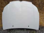 Motorhaube Citroen C5 III (RD)