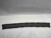Kühlergrill unten Mercedes-Benz E-Klasse (W213) A2138850622