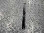 Heckklappe Gasdruckfeder links BMW 1 (F21) 116 d 7239871