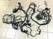 Motor Kabelbaum NISSAN NV200 Furgon/Estate 1.6 16V (M20, M20M) 243843NA0A 240104FA3A