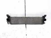 Ladeluftkühler MERCEDES-BENZ VITO Furgon (W447) 109 CDI (447.601, 447.603, 447.605) DA533001