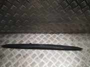 Kennzeichenbeleuchtung BMW X5 (E53) 3.0 i 7170674 51137170674