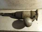 Stoßdämpfer hinten links VW PHAETON (3D_) 3.0 V6 TDI 4motion 169ATE04C543EN