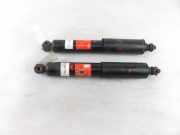 Stoßdämpfersatz Vorderachse Nissan Terrano II (R20) JGE196T