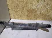 Ladeluftkühler MERCEDES-BENZ C (W202) C 220 D (202.021) 2140611300