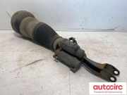 Gasdruckfeder Mercedes-Benz S-Klasse (W222) A2223205013