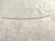 Dachleiste links BMW X6 (F16, F86) xDrive 30 d