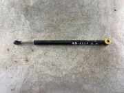 Heckklappe Gasdruckfeder links MERCEDES-BENZ S (W221) S 350 (221.056, 221.156) A2217300016