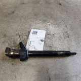 Einspritzdüse FORD TRANSIT Furgon 2.2 TDCi 6C1Q9K546AC