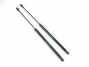 Heckklappe Gasdruckfeder links BMW X1 (E84) xDrive 20 d 2990136