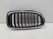 Vorderer oberer Gitter BMW 5 Touring (F11) 525 d 7412324